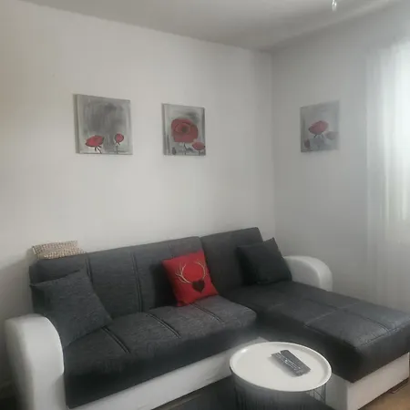公寓 Ferienwohnung In *